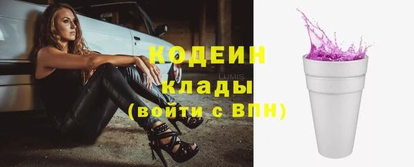 Альфа ПВП Верея