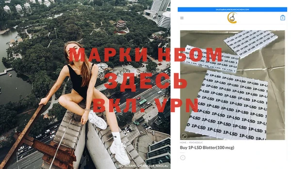 Альфа ПВП Верея